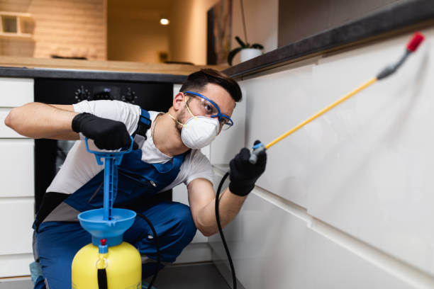 Wasp Removal Services in Gilman, IL