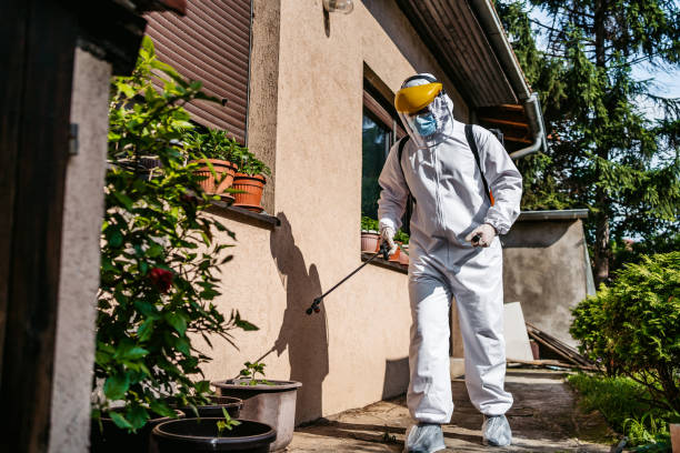 Best Pest Control Near Me  in Gman, IL