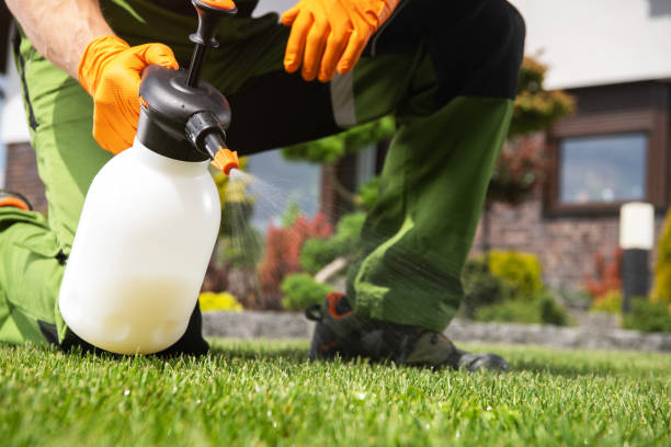 Best Pest Inspection Near Me  in Gman, IL
