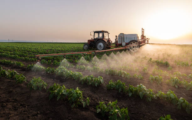 Best Ant Control Services  in Gman, IL