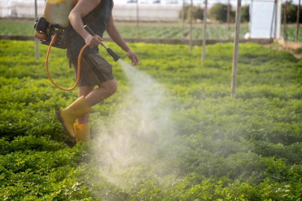 Best Local Pest Control Services  in Gman, IL
