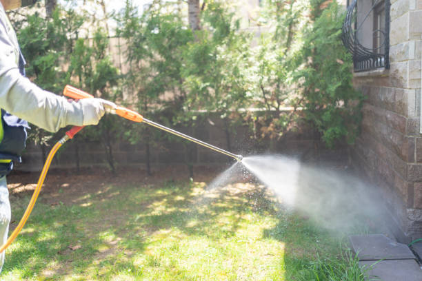 Reliable Gilman, IL Pest Control Solutions