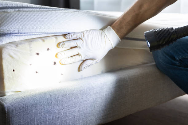Best Pest Removal Services  in Gman, IL