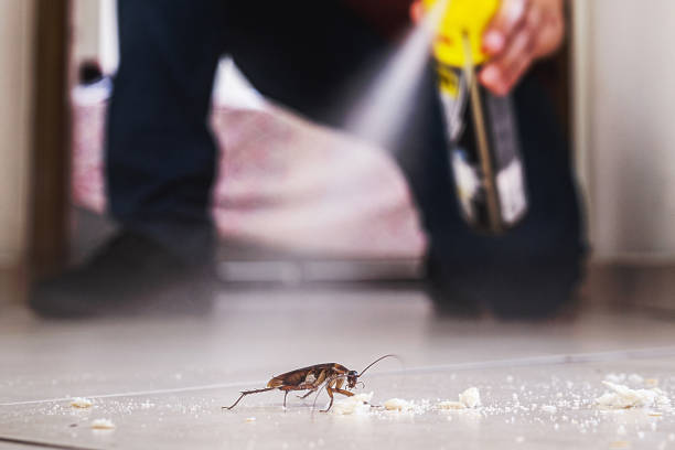 Best Rodent Control Near Me  in Gman, IL