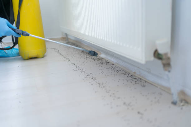 Best Commercial Pest Control Services  in Gman, IL