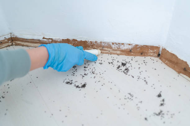 Pest Control Cost in Gilman, IL