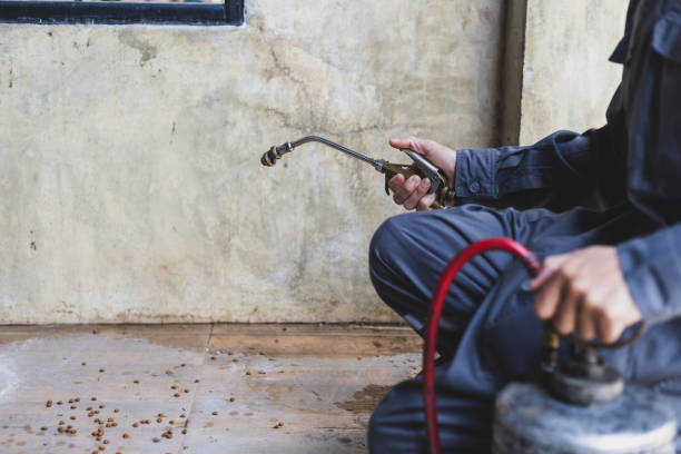 Pest Prevention Services in Gilman, IL